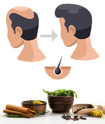 Natural Hair Loss Treatment